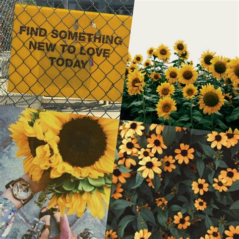 Yellow Aesthetic Plant Collage Tumblr