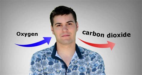 How Do We Produce Co2 Why Do We Exhale Carbon Dioxide