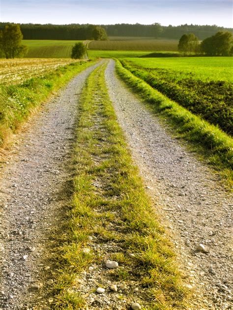 Simple Field Path Free Stock Photo Freeimages