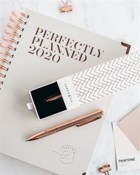 Perfectly Planned™ 2020 Daily Planner Planner Rose Gold Pen Project