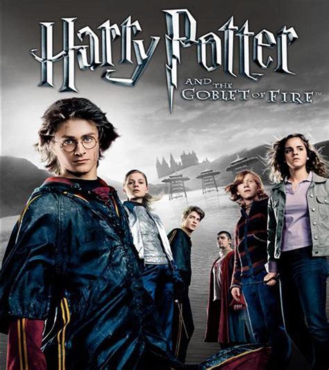 Software House Harry Potter And The Goblet Of Fire