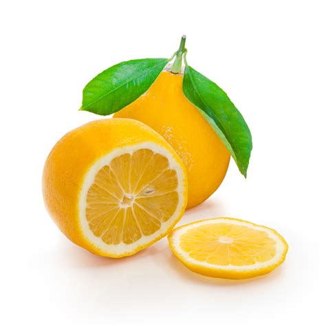 Meyer Lemons - Árvore De Luz