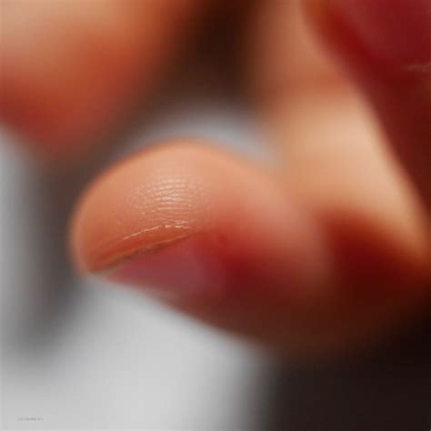 Finger Tip Of A Child Free Stock Photo Public Domain Pictures