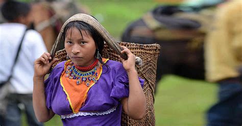 Los Embera En Risaralda En Medio De La Reintegraci N Y La Paz