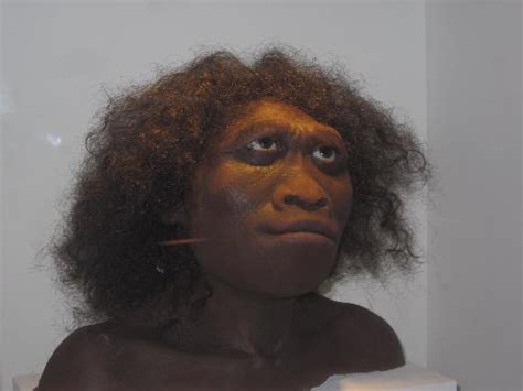 Neanderthal Woman Picture Of The Houston Museum Of Natural Science