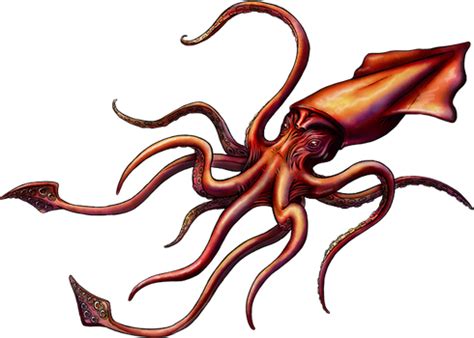 Последние твиты от octopusdeploy (@octopusdeploy). Animated Kraken by Kajiblade | Arte de acuarela, Dibujos ...