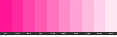 Tints Of Deep Pink Color Ff1493 Hex Colorswall
