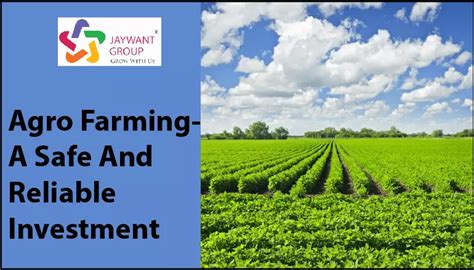 Agro Farming A Safe And Reliable Investment Benefits Of Agro