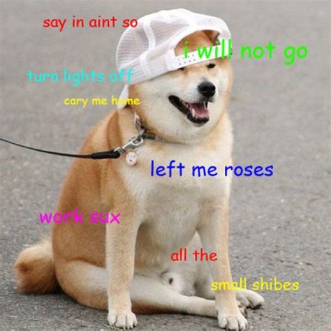 Shiba Doge Meme Wallpaper Doge Wallpaper Iphone Doge Meme Doge