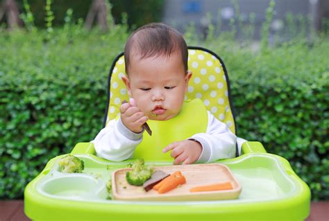 Baby Led Weaning Faqs What You Need To Know Plant Based Juniors