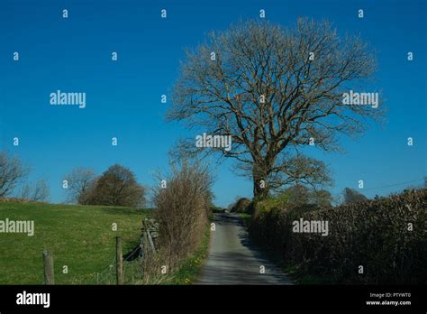 Country Road Lake District England Uk Stock Photo Alamy