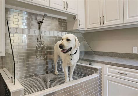 How To Build A Diy Dog Wash Station Top Things To Know