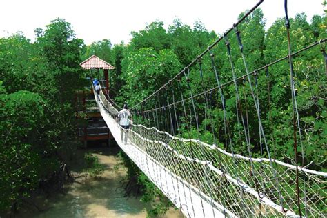 Good availability and great rates. Pulau Kukup National Park, Johor - HolidayGoGoGo