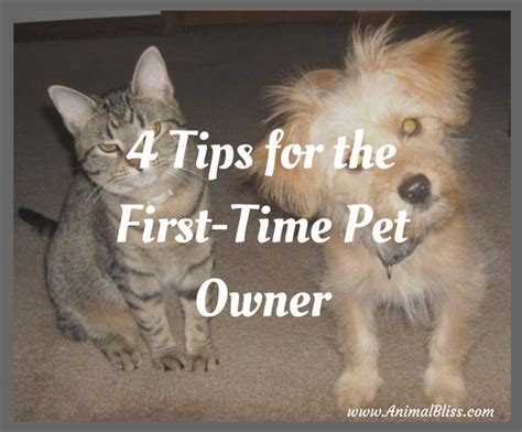 4 Tips For The First Time Pet Owner
