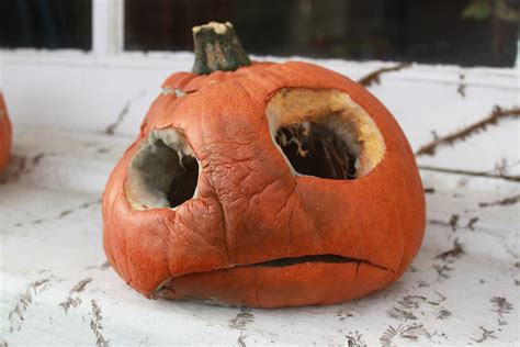 All Sizes Rotten Pumpkin Flickr Photo Sharing