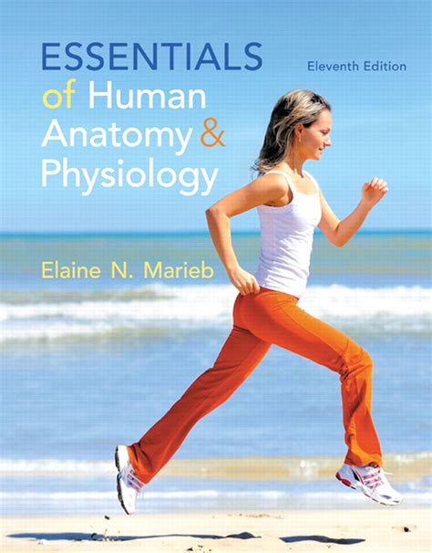 Essentials Of Human Anatomy And Physiology 11th Edition By Elaine N Marieb