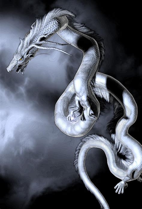 龍の絵 白龍 ドラゴンアートワーク 神話上の生き物の芸術 ドラゴンデッサン