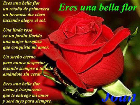 Rosas Con Poemas De Amor Para Celular Florida Flowers Google Gardens Beautiful Roses Pretty