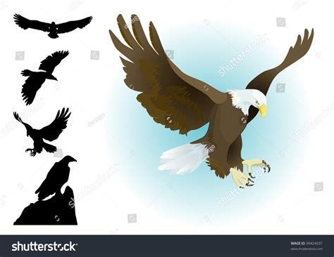 Collection Of Eagles Landingflying Sitting With Silhouettes Set Stock
