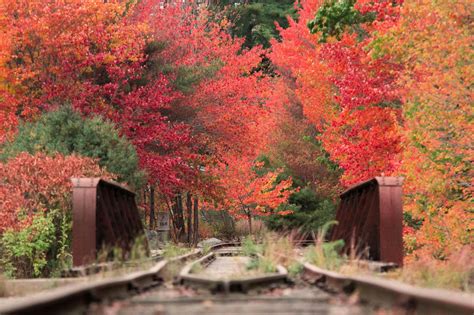 Free Stock Photo Of Colors Of Autumn Fall Foliage Railroad Track