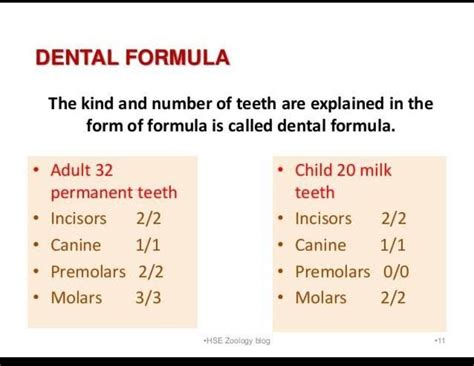 Write Dental Formula Of Human Adult And Children