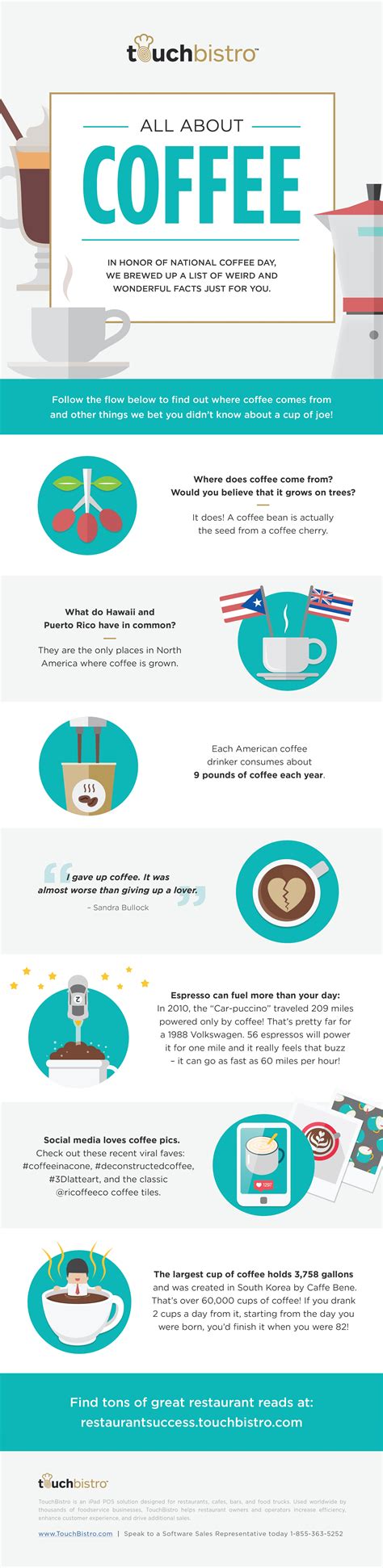 All About Coffee Infographic Coffee Infographic Coffee Shop Infographic
