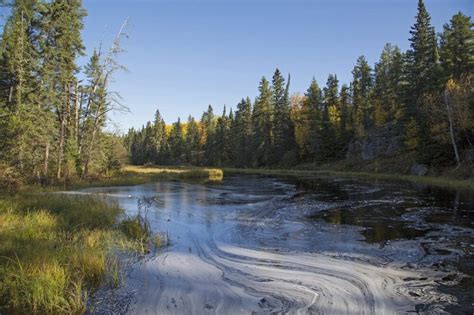 Conserving 54 Million Acres Of Manitobas Boreal Wetlands — Ducks