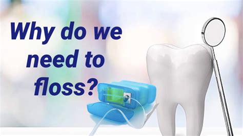 Why Do We Need To Floss Doc Jette Tv Youtube