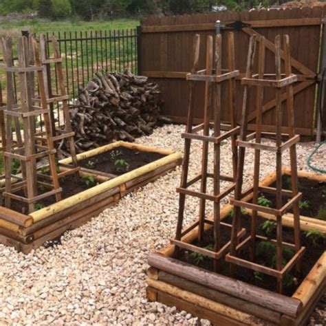 Diy Tomato Cage Ideas Bless My Weeds