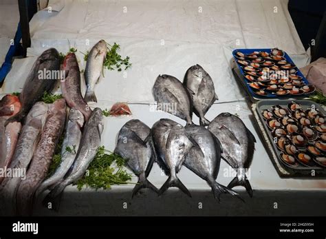 Fresh Fish At Fish Market In Valparaiso Chile Fresh Ocean Fish Such