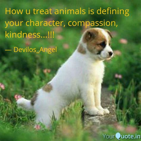Top 198 Quotes About Treating Animals With Kindness