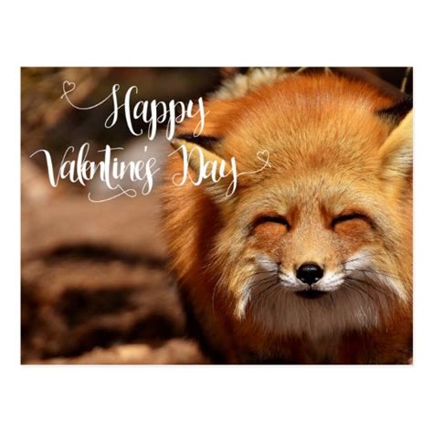 Happy Valentines Day Fox Postcard