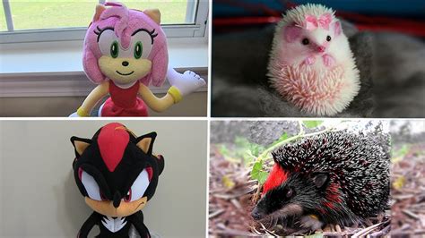 Sonic The Hedgehog In Real Life Tails Amy Rose Shadow X
