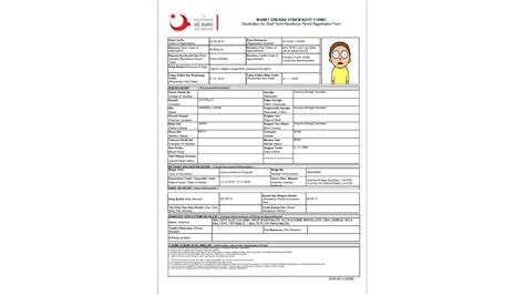 Residence Permit And Turkish Visa Information