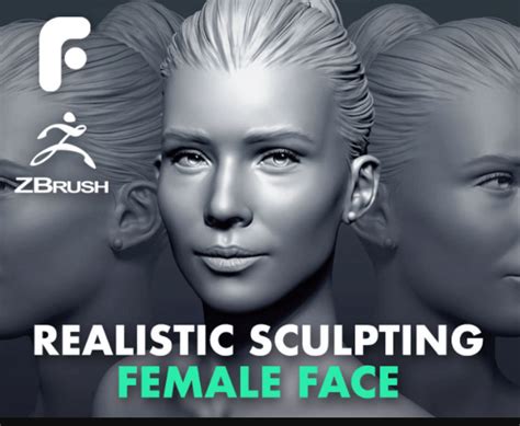 Flippednormals Sculpting A Realistic Female Face In Zbrush Premium