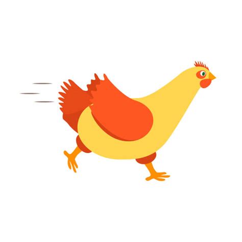Running Chicken Illustrations Royalty Free Vector Graphics And Clip Art