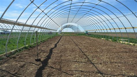 Once you unlock the greenhouse, you can plant and grow crops inside just as you would outside. Researcher studies high-value vegetable crop production ...