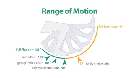 The Fundamental Importance Of Knee Range Of Motion X10 Therapy