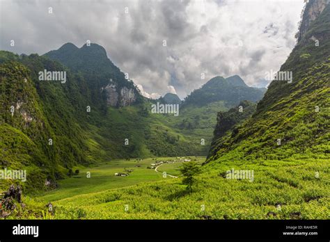 Mountain Valley Surrounded By Fields Of Corn And Rice Ha Giang Loop