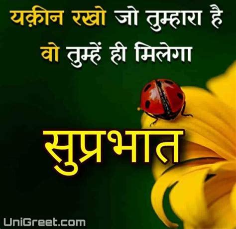 100 Best Hindi Good Morning Images Quotes For Whatsapp Free Download