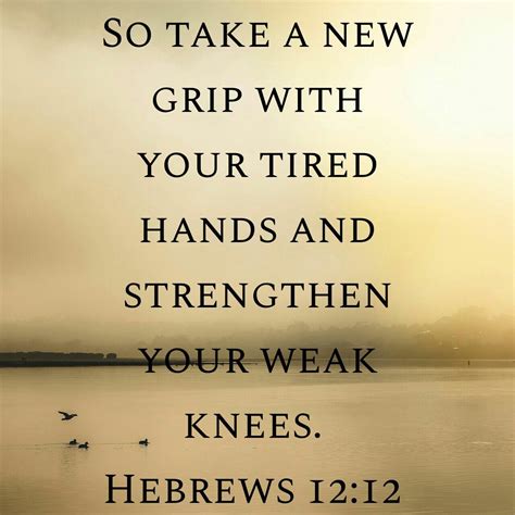 Bible Quotes About Not Giving Up Best Day Quotes