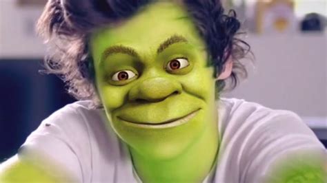 Shrek Meme Face The Best Memes From Instagram Facebook Vine And Twitter About Shrek Face