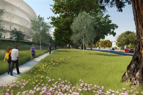 Gallery Of Hok Designs Apples Newest Silicon Valley Campus 10