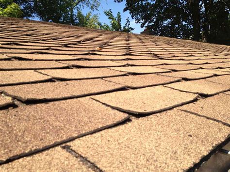 Curled Shingles What Do You Do Next Guaranteed Roofing