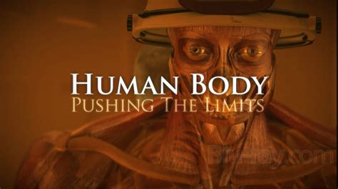 Discovery Channel Human Body Pushing The Limits