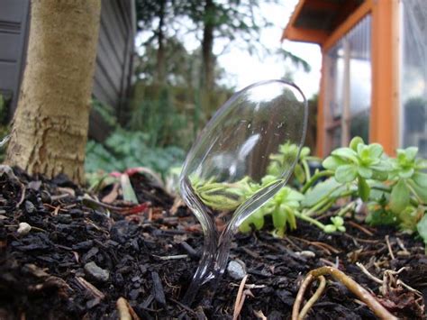 How To Keep Pests Out Of Your Garden Using Plastic Forks