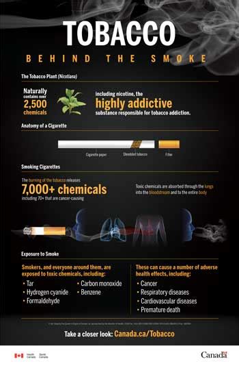 tobacco behind the smoke infographic canada ca