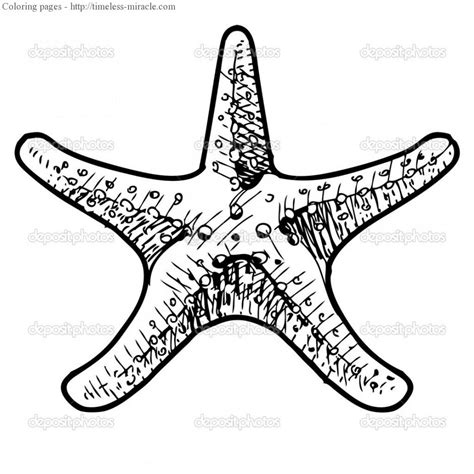 Zentangle doodle coloring pages for adults. Sea star coloring page - timeless-miracle.com