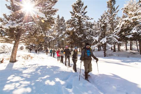 Yellowstone In Winter Travel Montana Travel Montana And Yellowstone