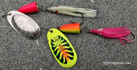 It's easier for novices to catch salmon with. 10 Amazing Lures for Coho Salmon in Rivers - Riptidefish